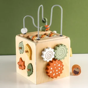 Montessori Toys Wooden Activity Cube,